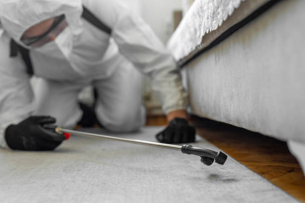 Professional Emergency Pest Control technician working in Mountlake Terrace, WA