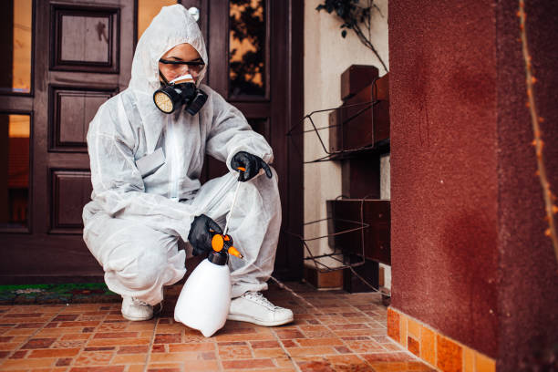 Reliable Emergency Pest Control contractor in Mountlake Terrace, WA by Nex Pest Control